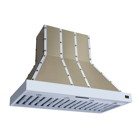 Valente 48" Range Hood in White with 304 CFM, 3 speeds, Dishwasher safe Baffle filters, LED Lights and Remote Control